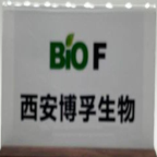 西安博孚生物科技有限公司