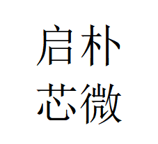 宁波启朴芯微系统技术有限公司