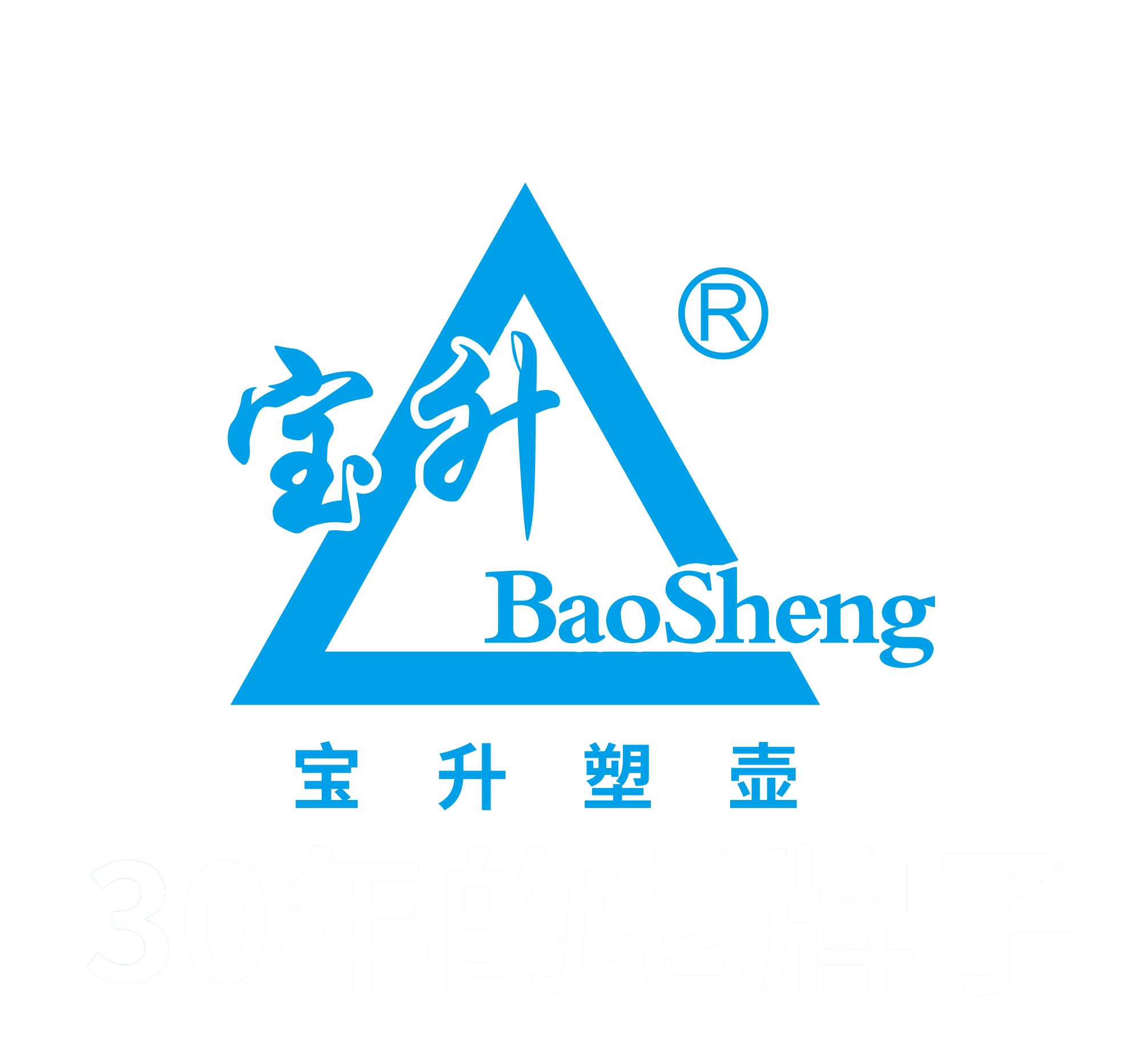 湖南宝升塑业科技开发有限公司