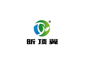 上海顶翼环保科技有限公司