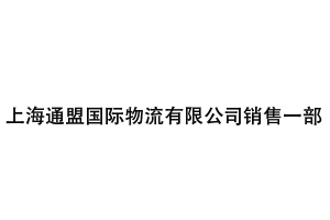 上海通盟国际物流有限公司销售一部