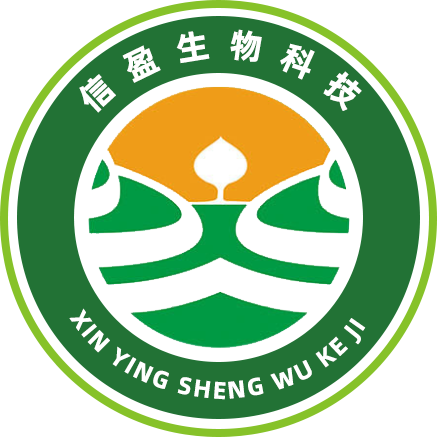 河北雄安信盈科技有限公司LOGO