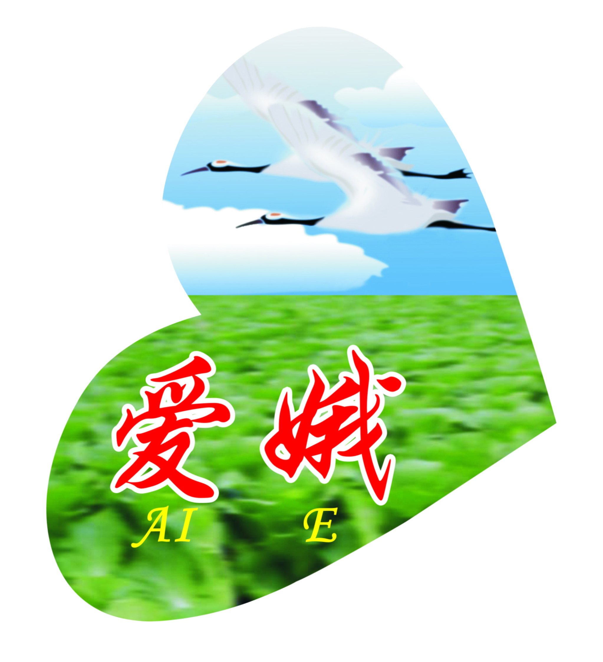 上海愛娥蔬菜種植專業(yè)合作社