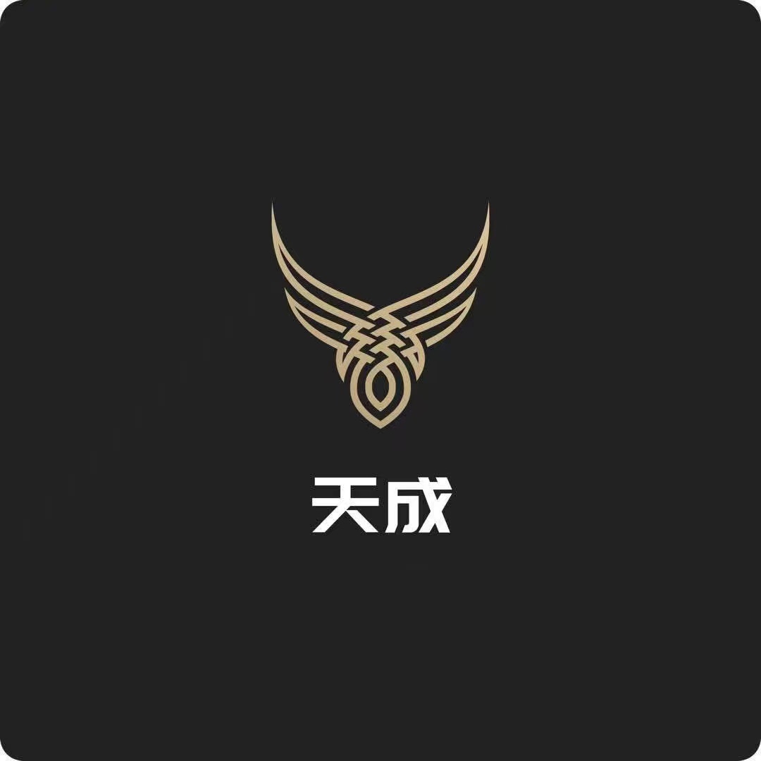 天成信息咨询(惠州)有限公司