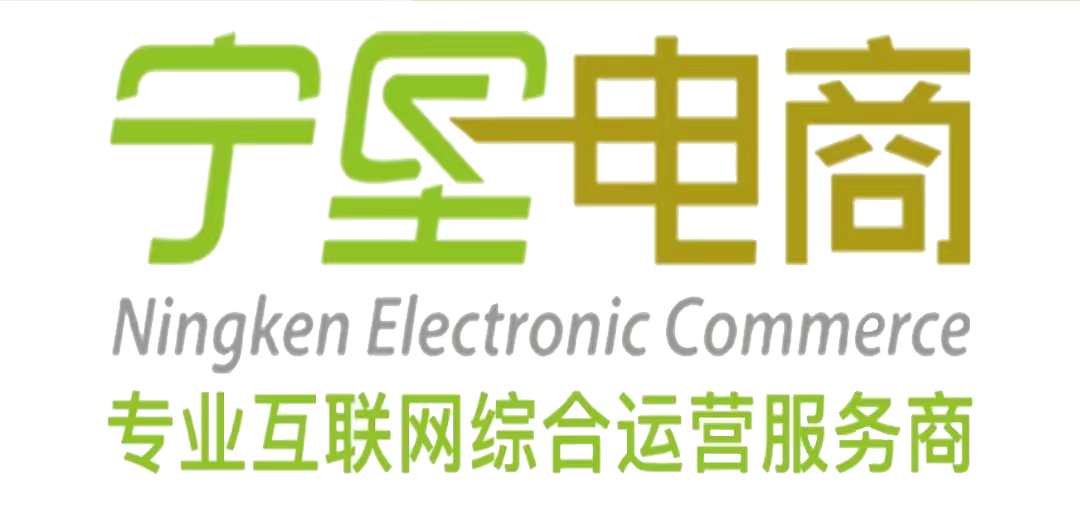 宁夏中网科技电子商务有限公司LOGO;