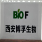 北京信邦在线科技发展有限公司