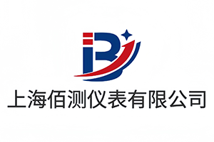 上海佰測儀表有限公司
