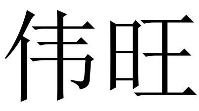 广东伟旺新材料有限公司