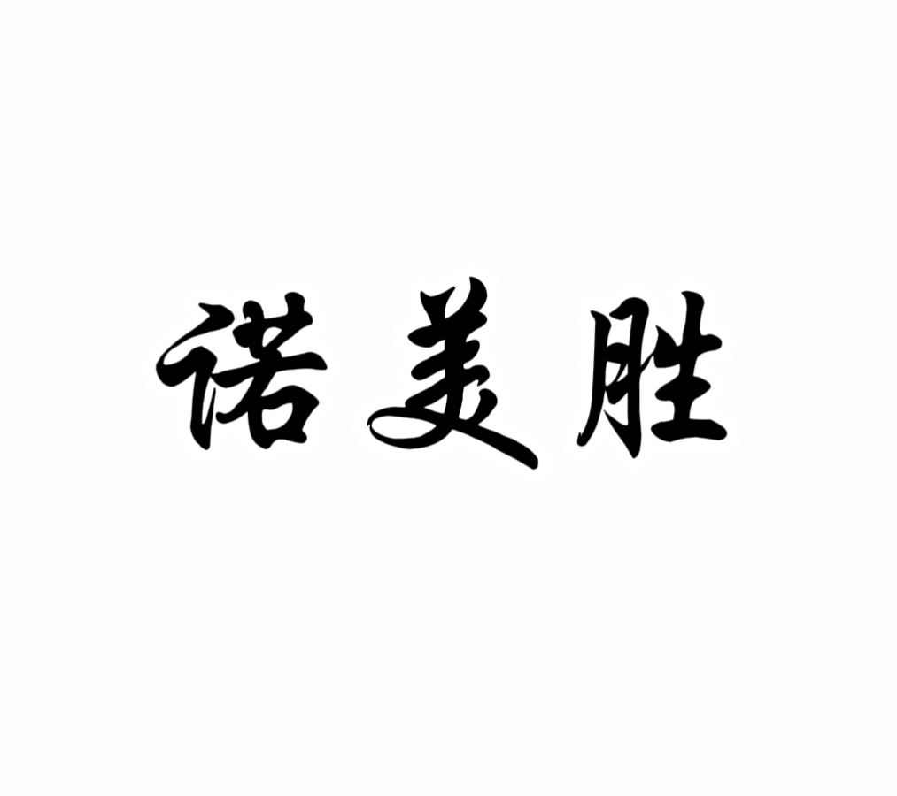 浙江诺胜环境科技有限公司LOGO