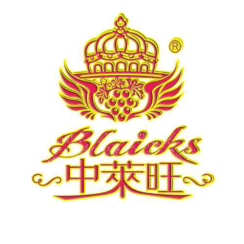 中莱旺国际科技（广东)有限公司