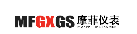 安徽摩菲自动化仪表有限公司LOGO