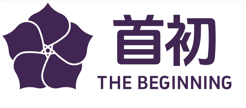 上海首初信息科技有限公司LOGO