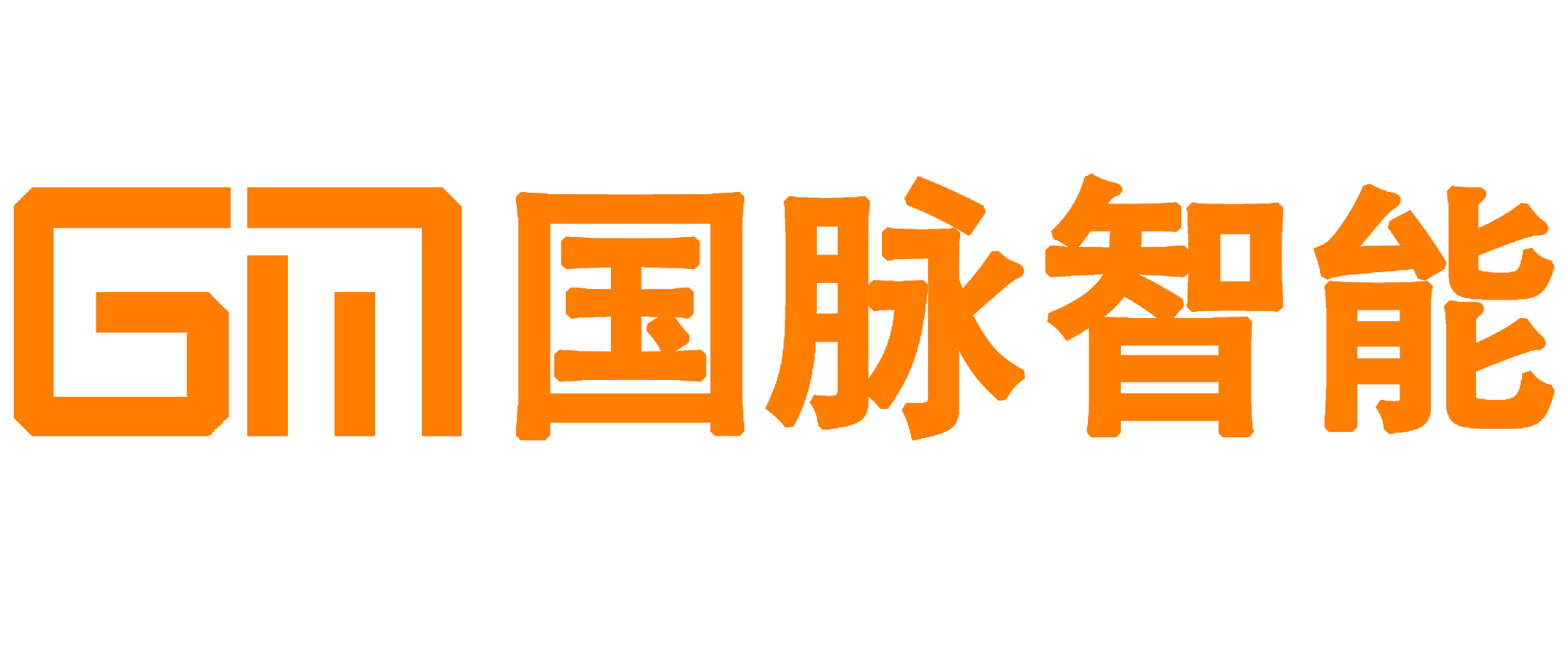 东莞市国脉智能科技有限公司