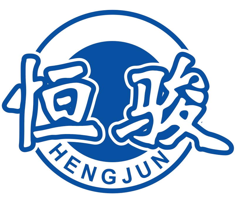 常州市恒骏电机有限公司LOGO
