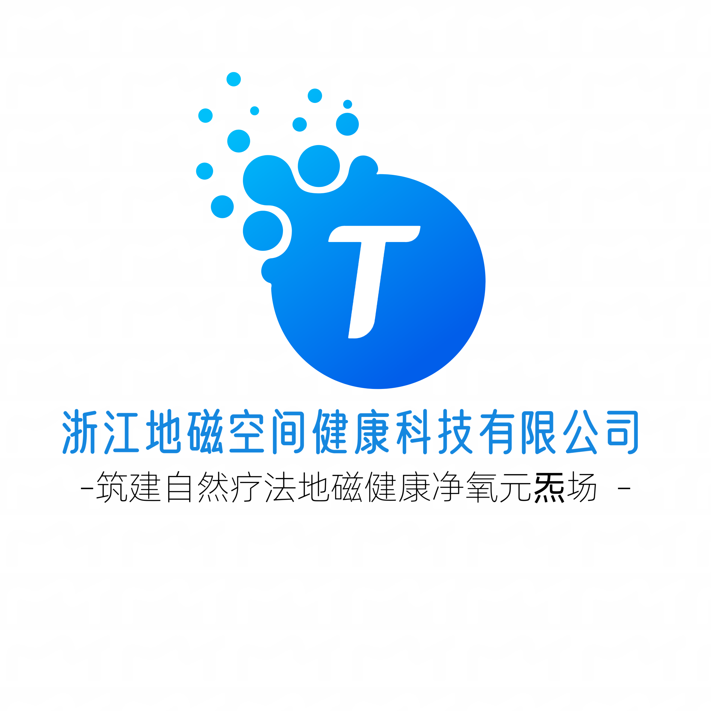 浙江地磁空間健康科技有限公司