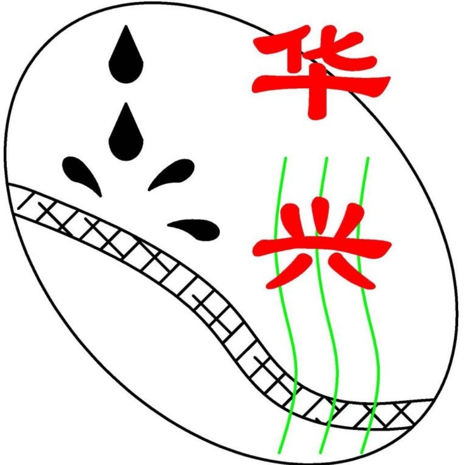 惠州市华兴科技有限公司