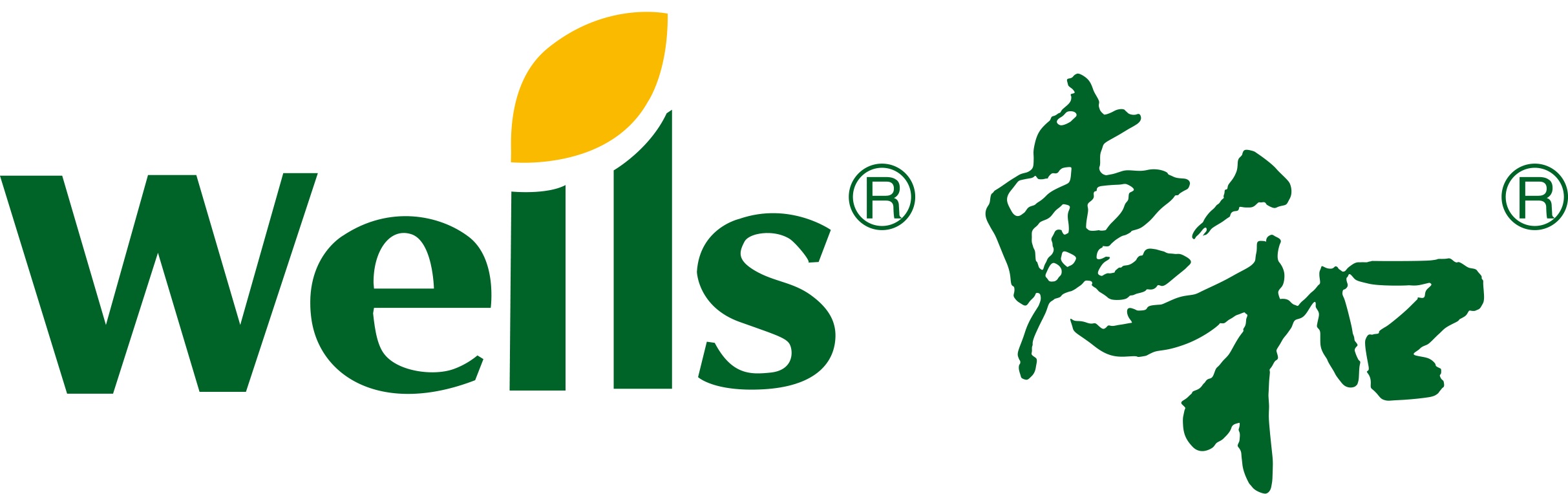 上海惠和种业有限公司