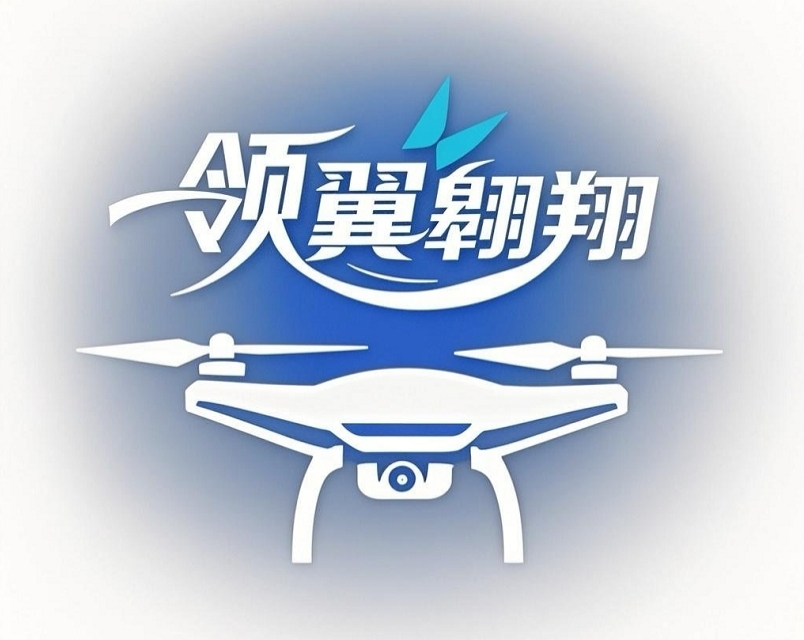 领翼翱翔（上海）科技有限公司