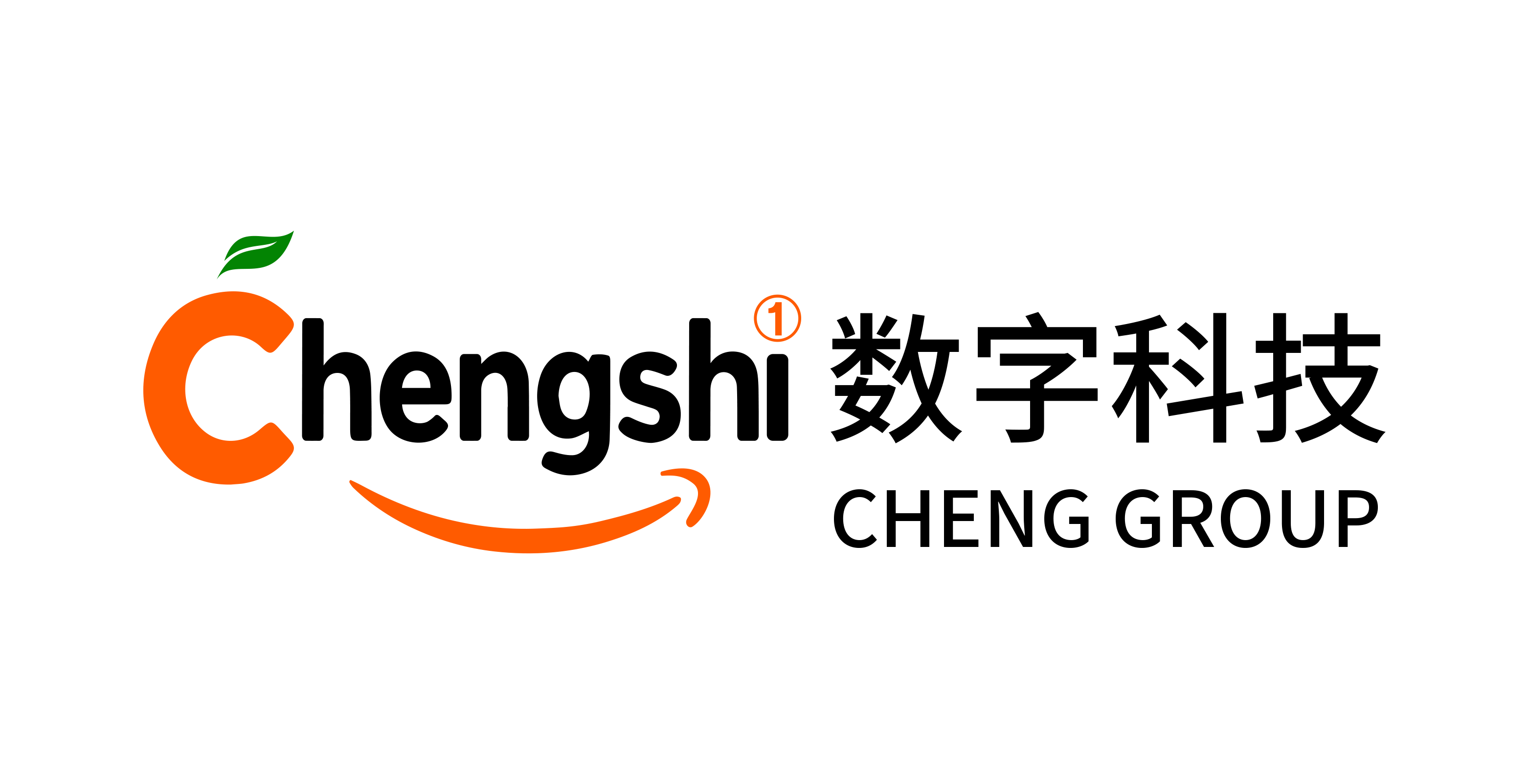 大連橙式數(shù)字科技有限公司LOGO