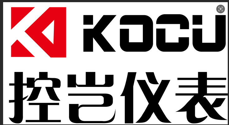 上海控岂电子科技广发(中国)LOGO