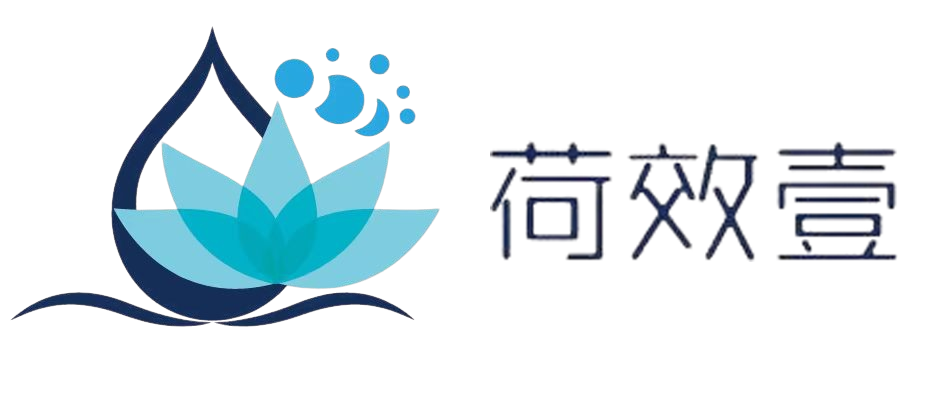 上海荷效壹科技有限公司