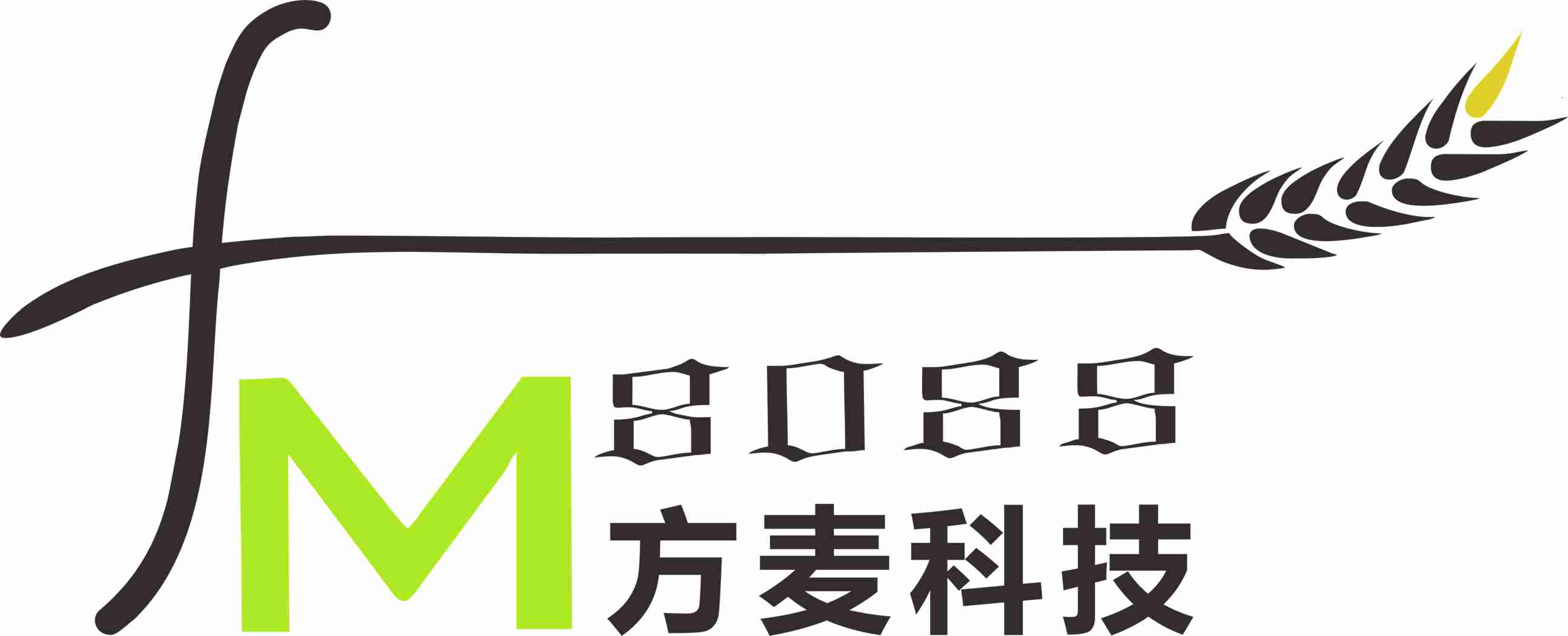 東莞市方麥信息科技有限公司LOGO