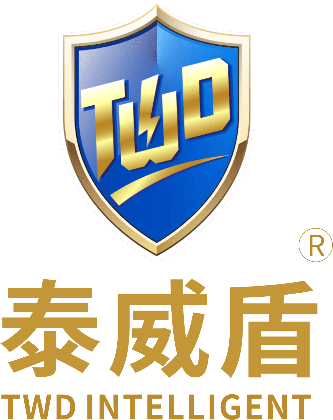 杭州泰威盾智能科技有限公司