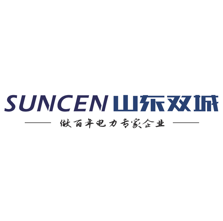 山东双城电力有限公司