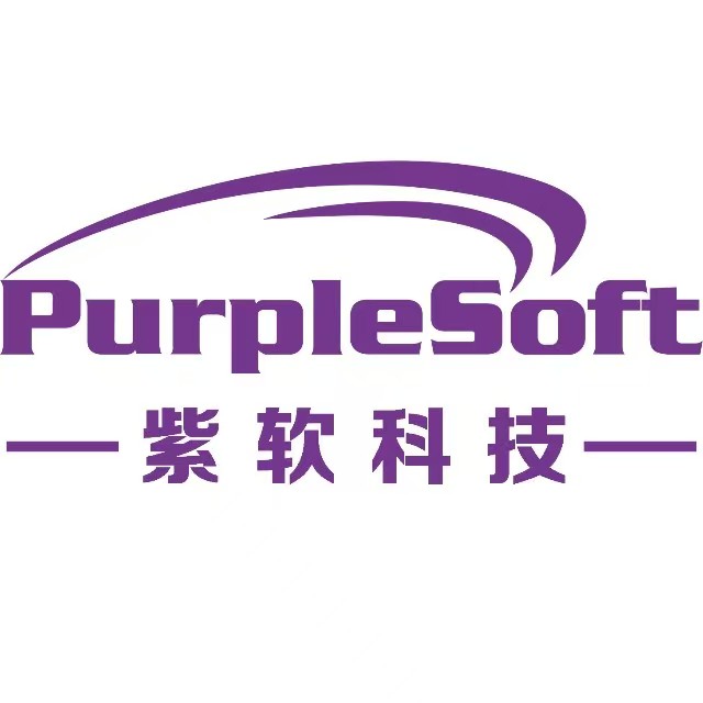 山東紫軟信息科技有限公司